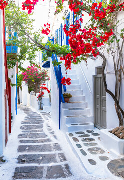 Fototapeta Charming typical floral streets of greek islands. Mykonos, Cyclades. popular summer tourist destination