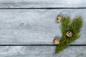 Easter background. Pine branch and quail eggs on a light wood background.