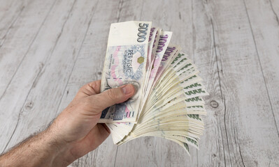 Czech banknotes in a fan in the hands of a trader. business, finance, investment, saving and cash concept - close up of euro paper money and coins on table