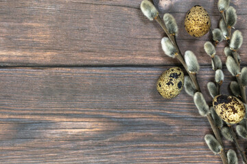 Easter background. Pussy willow and quail eggs on the right against a dark wood background.