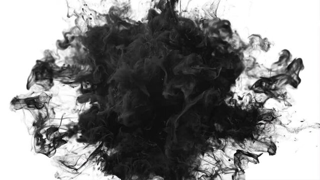 Color burst - black smoke powder circle particle explosion with shockwave. Particles in slow motion. Fluid ink alpha matte isolated on white 4k