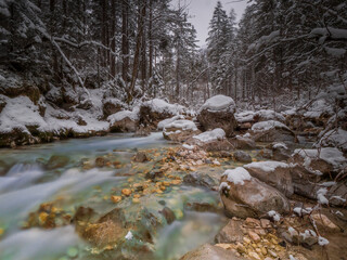 Berchtesgaden Zauberwald with the turquoise water river during winter