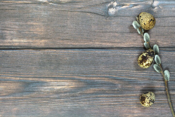 Easter background. Three quail eggs with pussy willow on the right against a dark wood background.