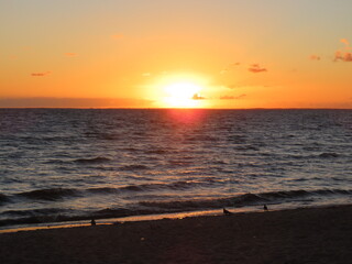 Obraz premium sunset on the beach