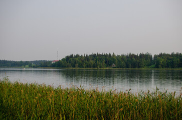 lake and forest