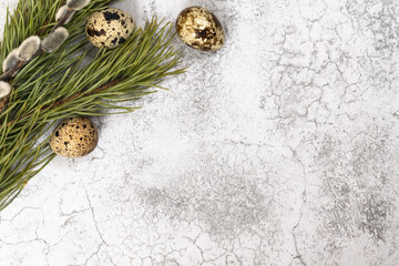 Easter background. Pine branch, pussy willow and quail eggs on the left.