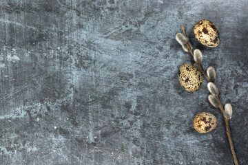 Easter background. Pussy willow and quail eggs on the right against a dark background.