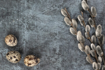 Easter background. Willow branches on the right and three perpelled eggs on the left against a dark background.