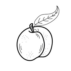 Peach hand drawn illustration.  Black line isolated on white background.