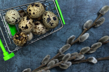 Easter background. Quail eggs in a cart on a dark background with a pussy willow branch.