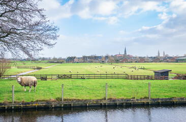 View of the rural polder landscape and the village of Reeuwijk-dorp in the western part of the Netherlands.