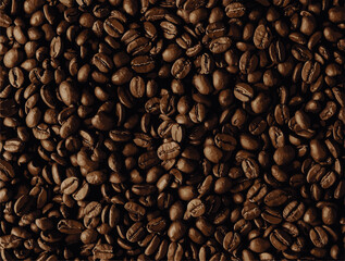 Vector realistic illustration of coffee beans. Premium quality cuban coffee background.
