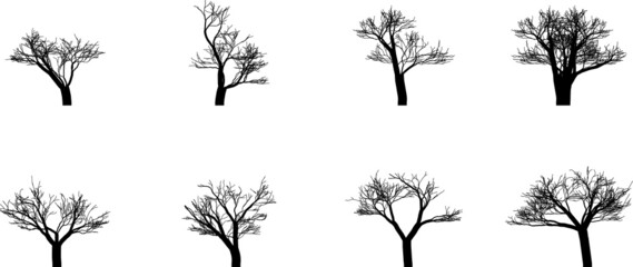 set of silhouettes of trees. tree plant icon