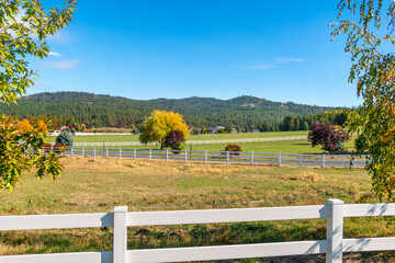 Autumn scenic view as a white picket fence crisscrosses over rolling farmland in the Green Bluff area near Spokane, Washington, USA.