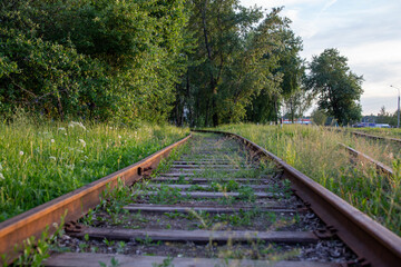 Rusty old railway tracks, unused. Green grass and trees grow all around. Close-up of rusty iron rails and wooden sleepers. Horizontal photo.