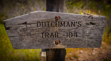 Dutchman's Trail 104