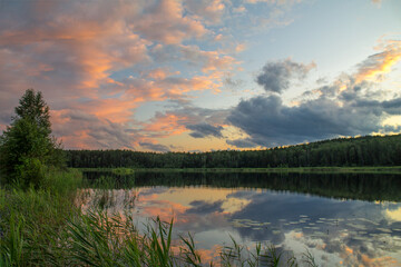 Beautiful sunset over lake with lonely tree