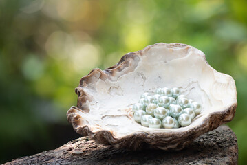 Pearl on bokeh nature background.