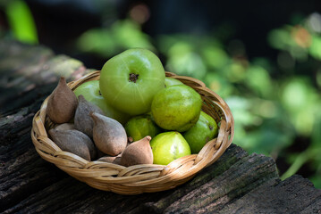 Triphala are herbal medicine containing terminalia belerica, terminalia chebula and phyllanthus emblica fruits.