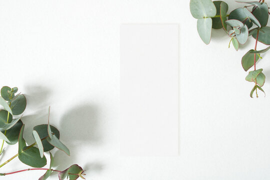 Mockup menu card with eucalyptus leaves