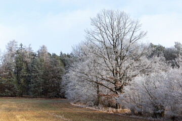 Winter countryside landscape in Czechia.