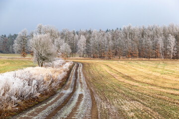 Winter countryside road in Czechia.