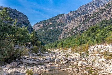 Fototapeta na wymiar landscape with mountain riverbed in dry season