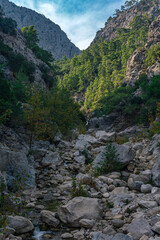 Fototapeta na wymiar mountain landscape with a river in a rocky valley
