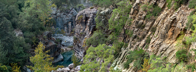 wooded mountain canyon with a river in a rocky bed