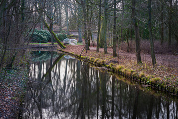 Lane of trees along the canal in the Ockenburgh park, Hague. Trees in the row, park  in The Hague, Netherlands.