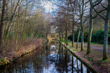 Lane of trees along the canal