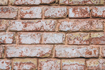 Close up, texture of old red brick background.