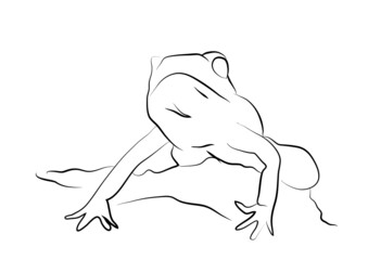 a small frog with a smile on blue