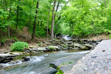 Stream in Arkansas long exposure forest southern usa natural relaxing