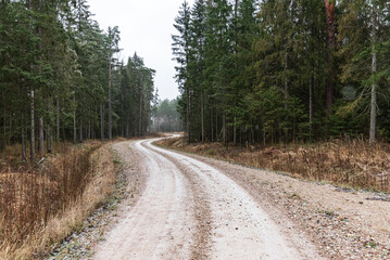 Winding gravel forest road in Latvia.