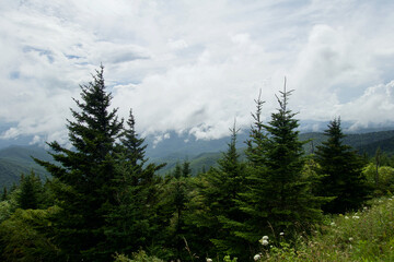 Overlooking Great Smoky Mountains National Park