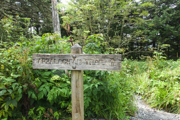 Appalachian Trail in Great Smoky Mountains National Park