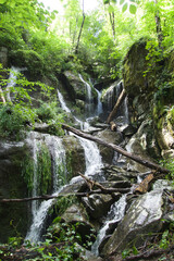 Waterfall in Great Smoky Mountains National Park
