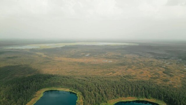 Drohe shot of heart shaped lake in estonia. Lake in the middle of green forest. 