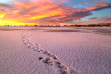 Winter Sunrise on the shores of Lon Hagler Reservoir in Loveland Colorado