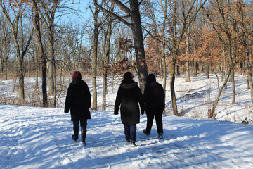 Fototapeta na wymiar Three people walking in the snow on the North Branch Trail at Miami Woods in Morton Grove, Illinois