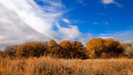Fall season scenery in a state park