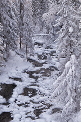 Fototapeta na wymiar Photo of frozen river Pescherka near waterfall in winter. Siberia, Russia