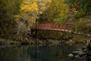 wooden bridge in autumn forest of Alaska
