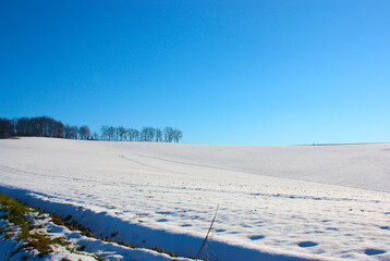 Neve nel Monferrato