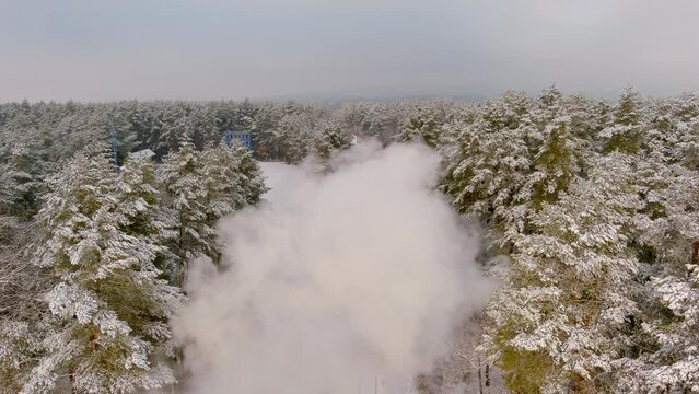 Blurred thick clouds of smoke, daily forest. Eruption, green pine forest