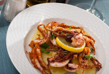 Seafood lunch. Tasty fried squid or octopus tentacles closeup. High quality photo