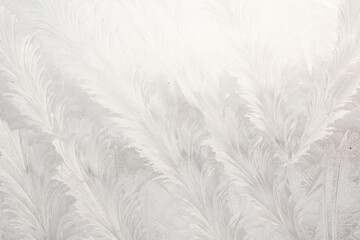 Frost on glass. Background. Frosty pattern on a glass surface. Low temperatures. Seasons. January frost.