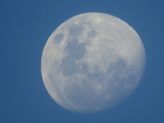 Luna llena en atardecer 