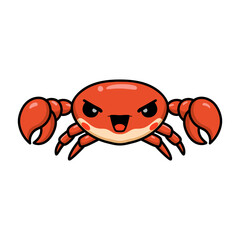 Cute angry little orange crab cartoon